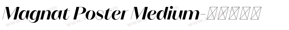 Magnat Poster Medium字体转换